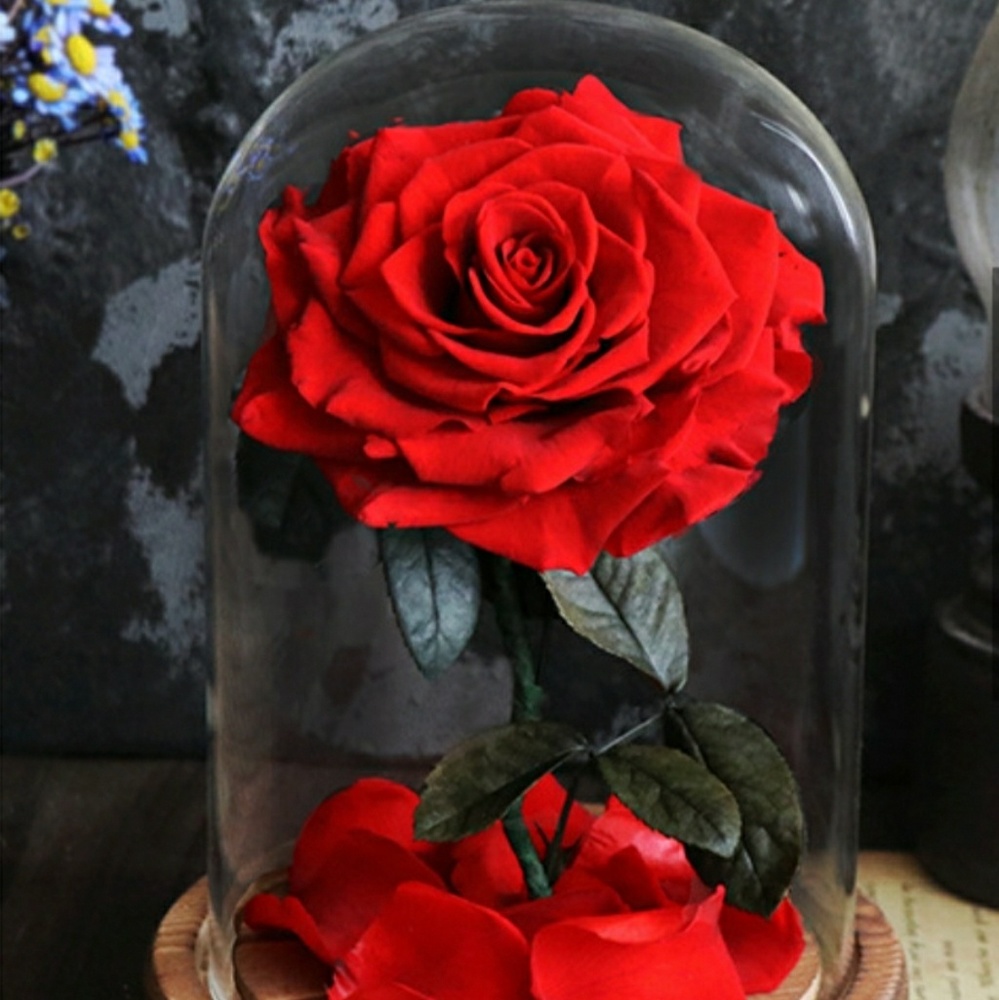 Preserved 100 % real flowers with LED light